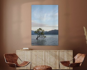 "Der Wanaka-Baum" von Richard Wareham