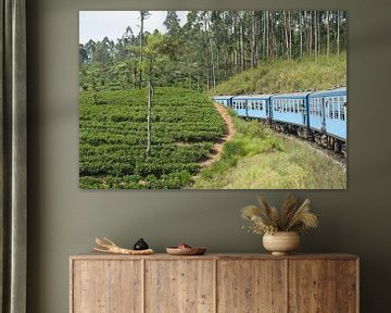 Sri Lanka trein en thee van Richard Wareham