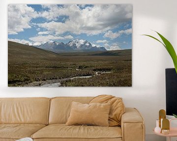 Bofedales peatlands van Richard Wareham