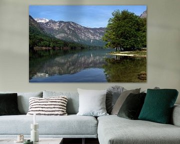 Bohinj Slovenie van Richard Wareham