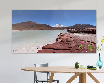 Piedras Rojas, Atacama, Chile von Alfred Kempe