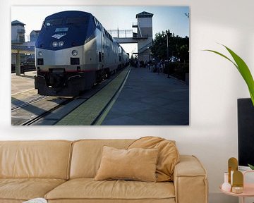 California Zephyr van Richard Wareham