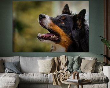 Nahaufnahme eines Hundes