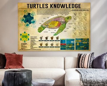 Schildpadden Kennis van Steven Kingsbury