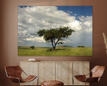 Paysage du KZN sur Richard Wareham