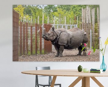 Indian Rhino at the gate by Triki Photography
