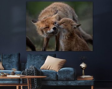 Fox family by Michel Van Giersbergen