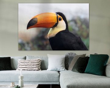 Reuzentoekan van Anja Wessels Fotografie