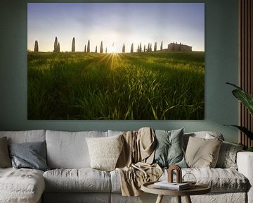 Zonsopgang in Toscane van Olga Ilina