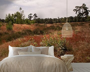 Summer Red Heath Loonse and Drunense Dunes by Deborah de Meijer
