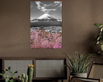 Prachtig uitzicht op Fuji | colourkey van Melanie Viola