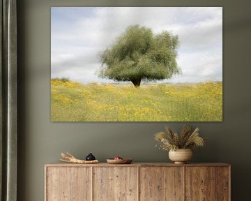 Tree by the river