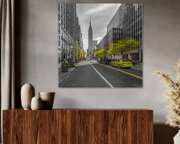 New York - Empire State Building and 5th Avenue (3) by Tux Photography