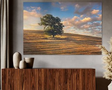 Eenzame boom bij zonsondergang. Volterra, Toscane, Italië. van Stefano Orazzini