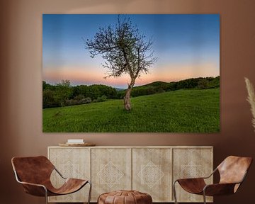 Sunset Tree 2 by Peter Oslanec