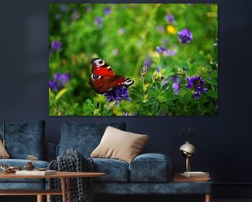 Nature Photo by Wietze Wiegersma