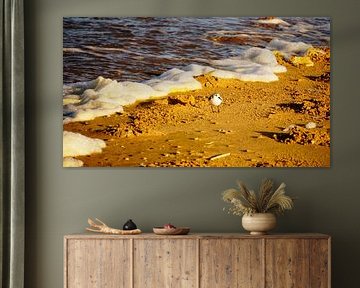 Naturfoto von Wietze Wiegersma