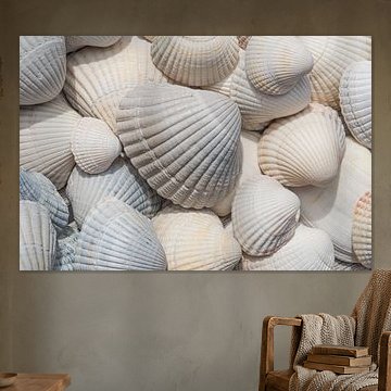 Shells in white, cream and beige (horizontal) by Marjolijn van den Berg