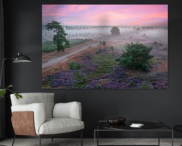 Luchtfoto van zonsopgang op de Veluwe met bloeiende heide in Nederland