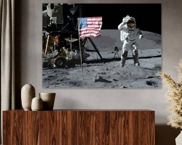 Apollo 11 Maanlanding van Steven Kingsbury