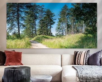 Dennebomen op duintop van Artist Impression of Nature
