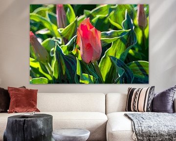 gestileerde rode tulp