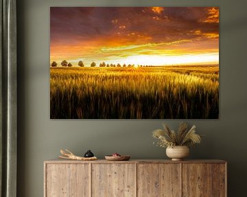 Als de zon opgaat... van l.v.e. Pictures
