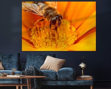 zweefvlieg in een bloem