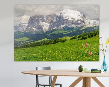 Seiser Alm of Alpe di Siusi in de Dolomieten in het voorjaar