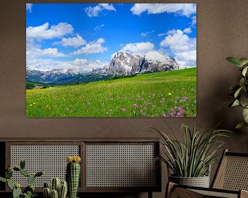 Seiser Alm of Alpe di Siusi in de Dolomieten in het voorjaar