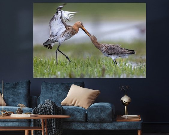 Aperçu de la chambre