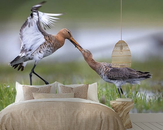 Aperçu de la chambre