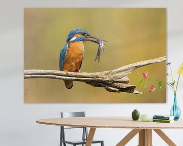 IJsvogel op Tak met Vers Vangst