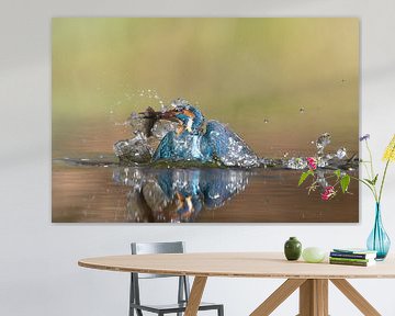 IJsvogel Uit Het Water: Een Perfect Moment