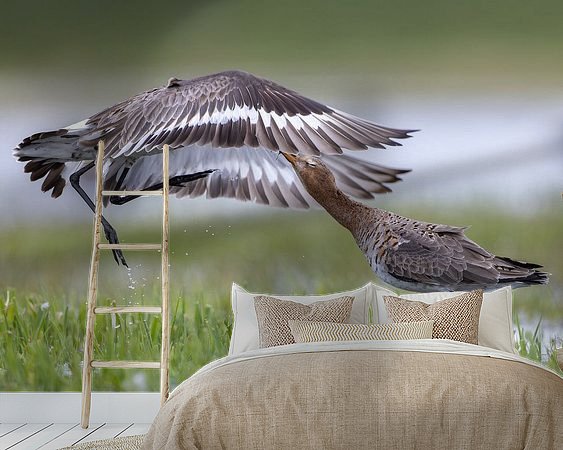 Aperçu de la chambre