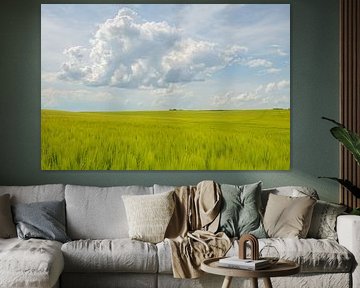 Graanveld in Frankrijk