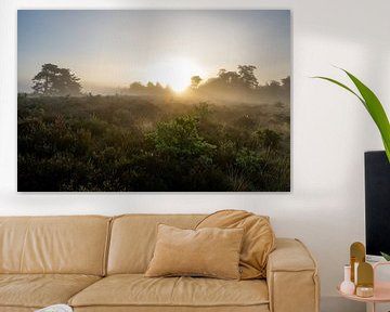 Mist op de heide