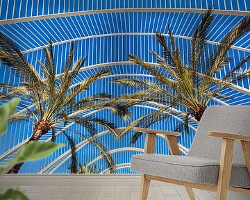 Valencia Palms Spain by Rob van der Teen