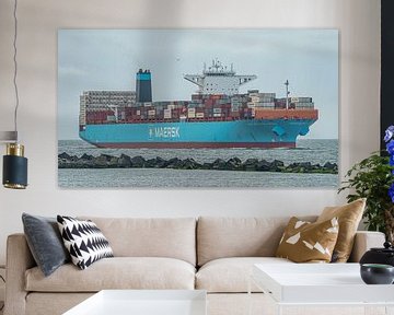 Containerschip San Augustin Maersk. van Jaap van den Berg
