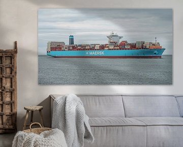 Containerschip San Augustin Maersk. van Jaap van den Berg