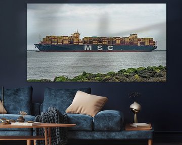 MSC Mara containerschip. van Jaap van den Berg