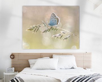 Vlinder van Elles Rijsdijk