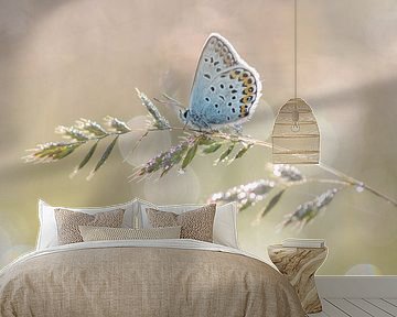 Butterfly by Elles Rijsdijk