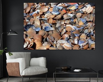 Shells Westkapelle by MSP Canvas