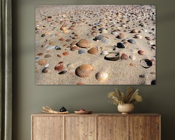 Coquillages sur la plage Zeeland sur MSP Canvas