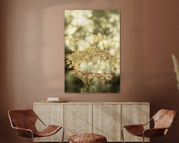 Tournesols. En vert olive et beige. sur Alie Ekkelenkamp