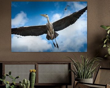 Reiger in vlucht by Dick van Duijn