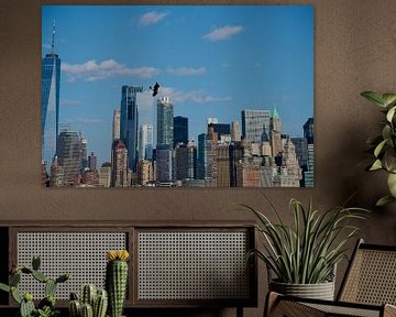 Seagull in front of Manhattan skyline by Jeremy Duvekot