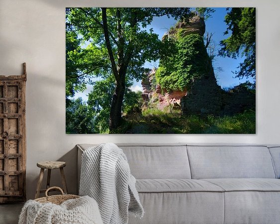 Aperçu de la chambre