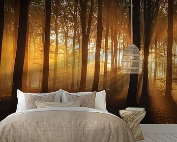 Bos zomerse schoonheid - Panorama